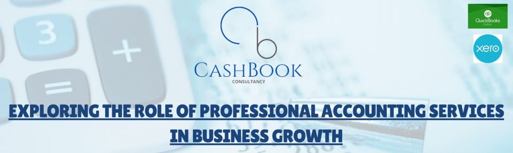 Exploring the Role of Professional Accounting Services in Business Growth
